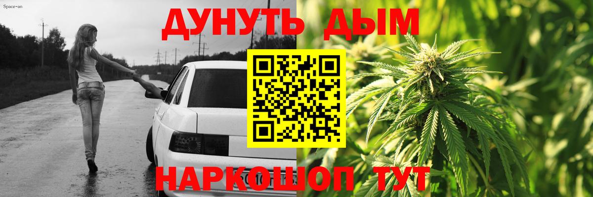 Канабис конопля Новоалександровск